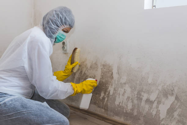 Best Crawl Space Mold Removal  in Enid, OK