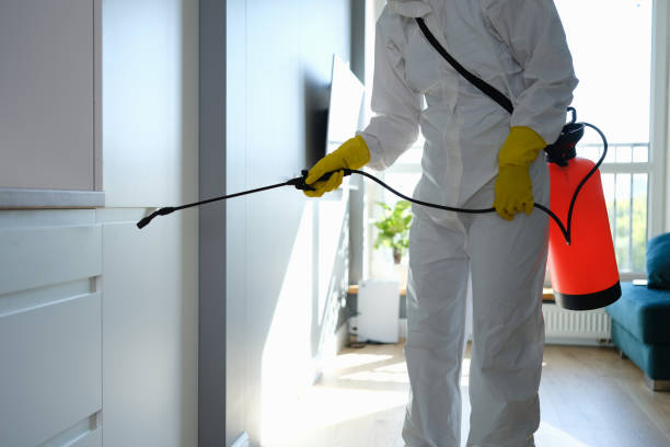 Best Mold Remediation  in Enid, OK