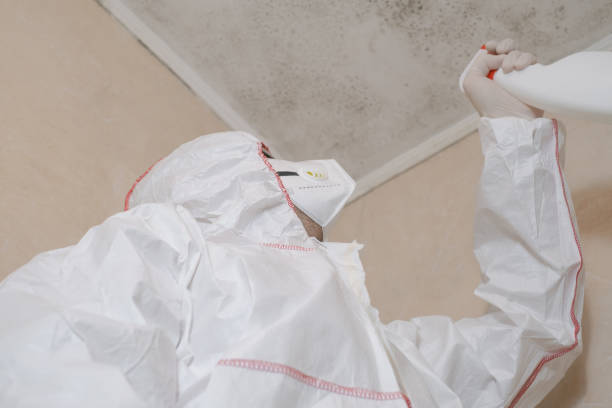 Best Office Mold Removal Services  in Enid, OK